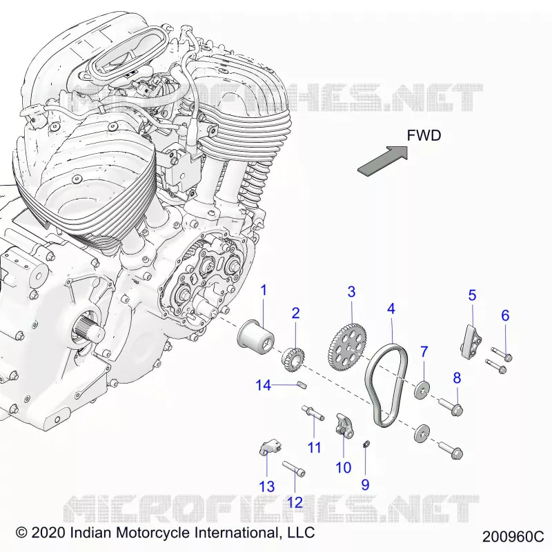 CAM CHAIN AND SPROCKETS